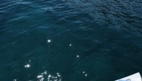 Sailing yacht SHOOTING STAR -  Swim Platform
